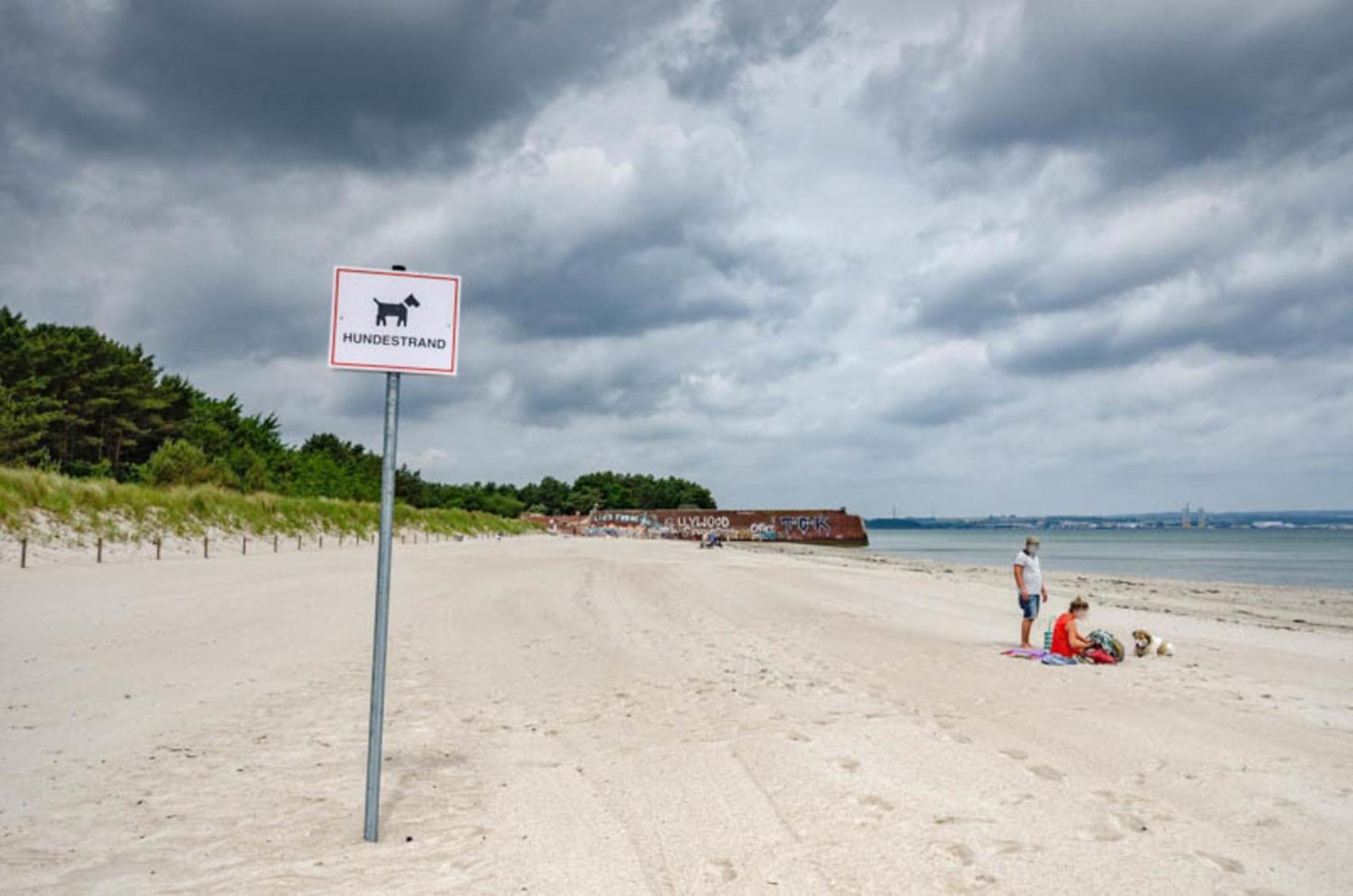 Prora - Meerblick Apartment Ostseebad Binz